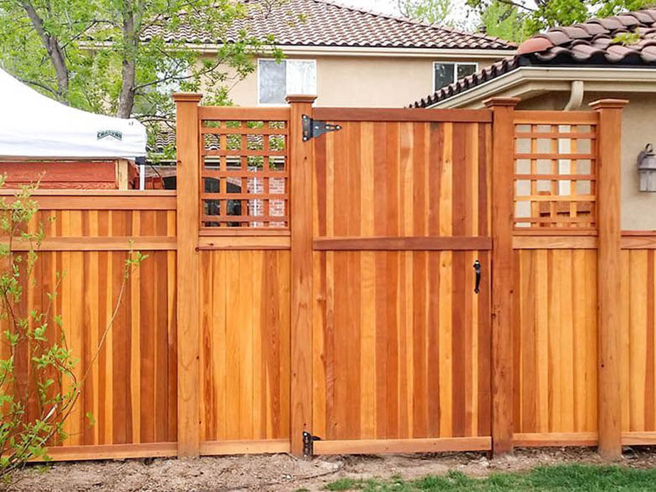 Company Contact Photo